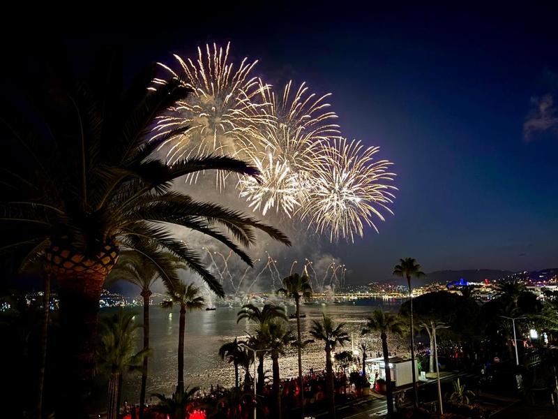 Penthouse - 52 m² - 2 pièces