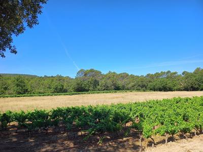 Maison - 124 m² - 5 pièces