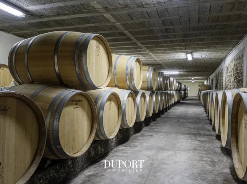 Propriété viticole - 366 m² - 10 pièces