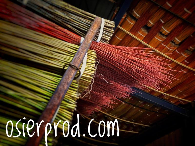 Visite d'une exploitation productrice d'osier &quot;la récolte&quot;