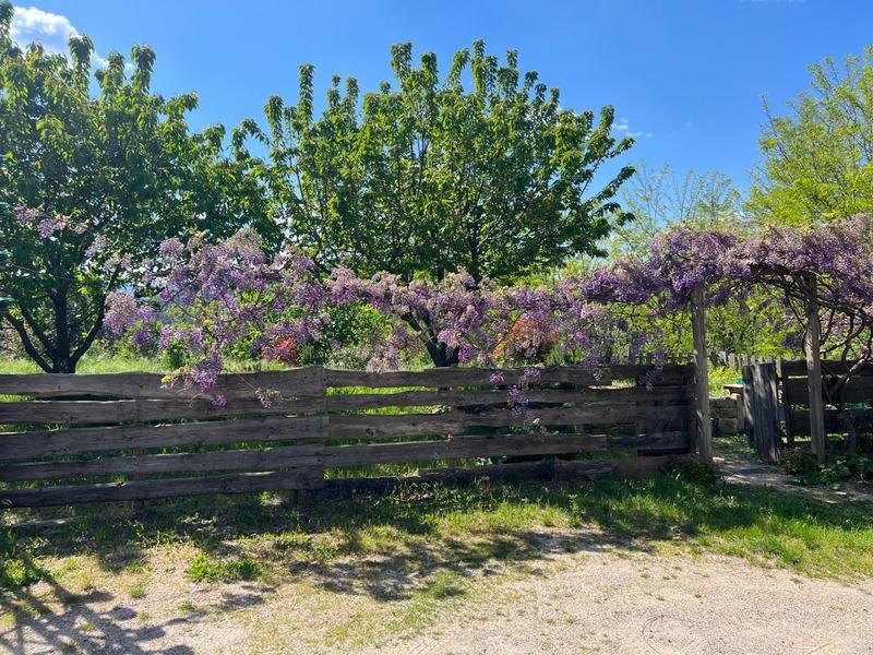 Maison - 181 m² - 7 pièces