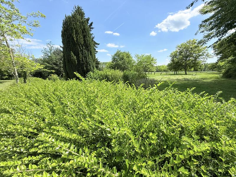 Maison - 750 m² - 25 pièces