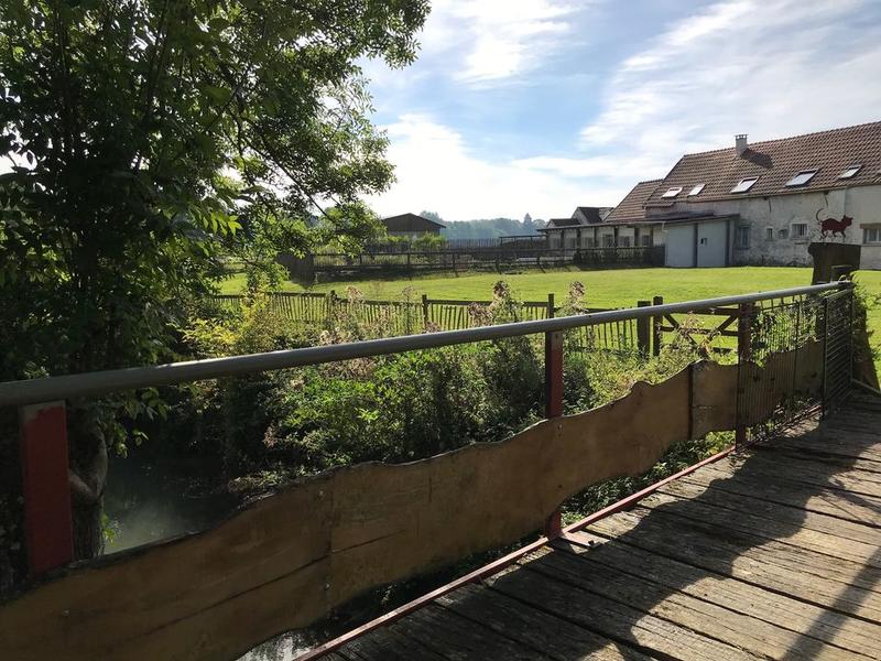 Maison chambre d'hôtes - 354 m² - 11 pièces