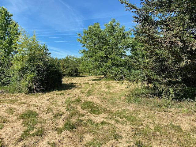 Terrain de loisirs - 4 917 m²