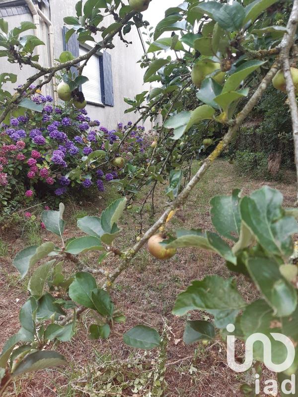 Maison - 96 m² - 5 pièces