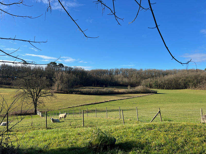 Maison - 142 m² - 6 pièces