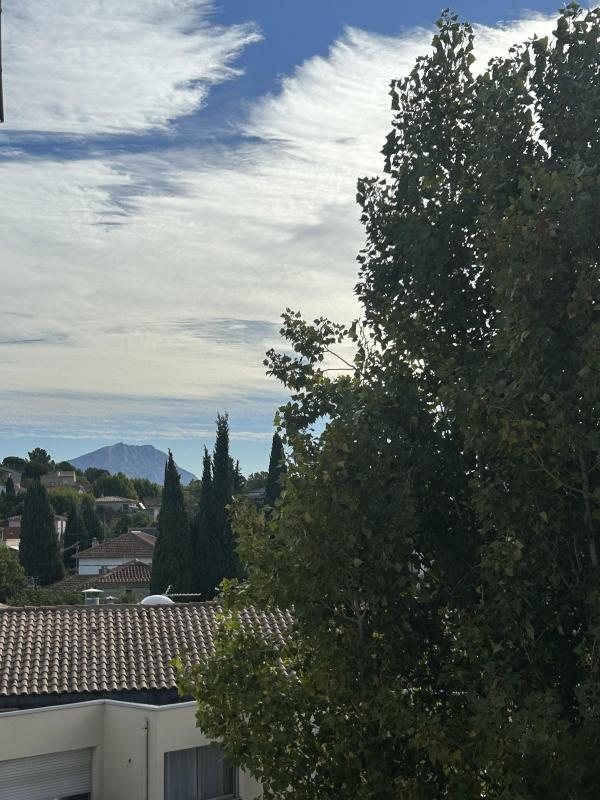 Appartement - 34 m² - 2 pièces