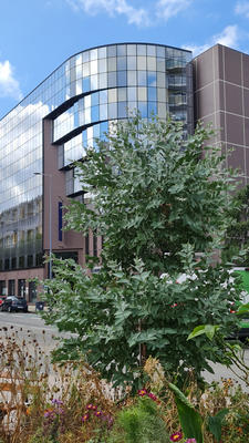 Local commercial - 147 m² - 6 pièces