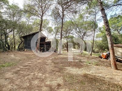 Maison - 288 m² - 9 pièces