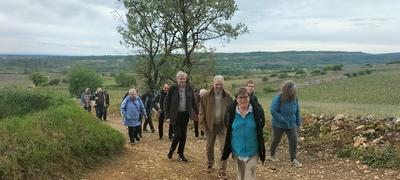 Sur les Pas du Vigneron