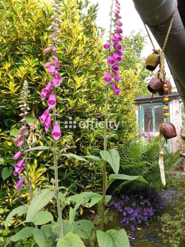 Maison - 79 m² - 4 pièces