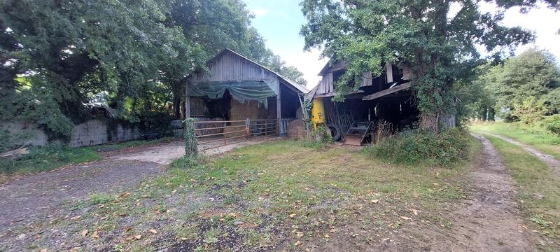 Maison ancienne - 200 m² - 3 pièces