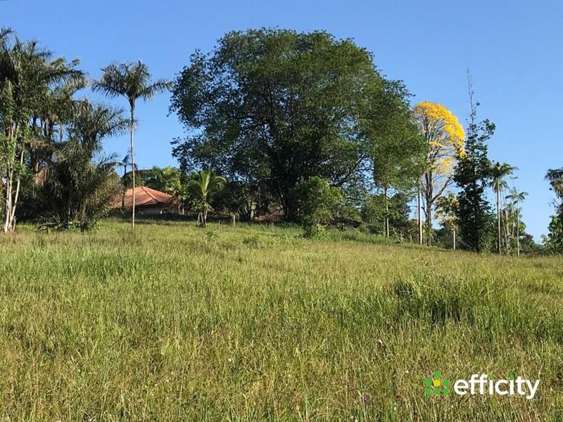 Immeuble - 1 429 m²