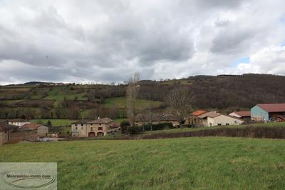 Terrain constructible - 1 707 m²