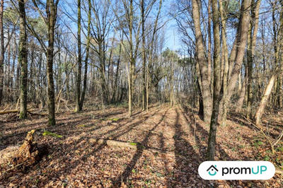 Terrain de loisirs - 770 m²