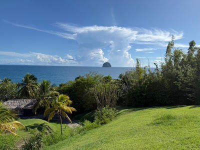 Appartement - 19 m² - 1 pièce