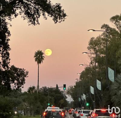 Local commercial - 480 m²