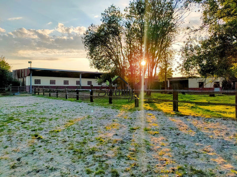 Maison - 154 m² - 7 pièces