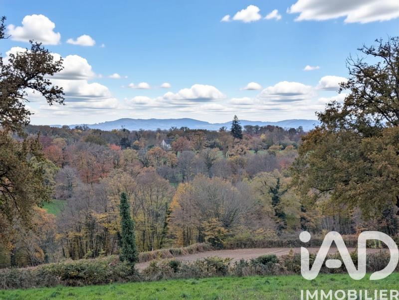 Maison de campagne - 120 m² - 5 pièces