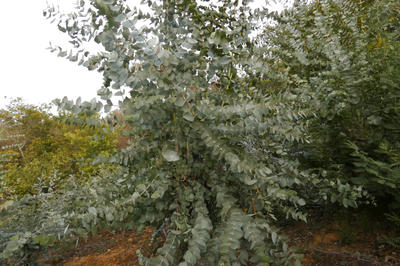 Terrain agricole - 4 855 m²