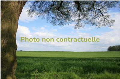 Terrain commercial - 4 576 m²