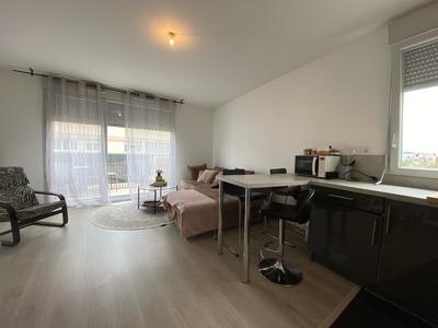 Appartement - 49 m² - 2 pièces