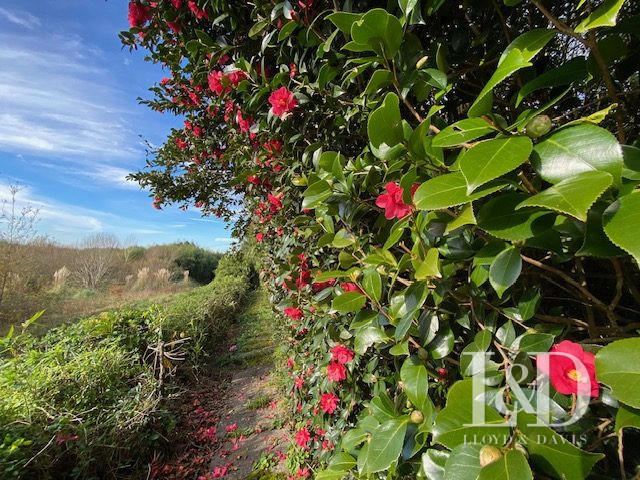 Maison ancienne - 500 m² - 21 pièces