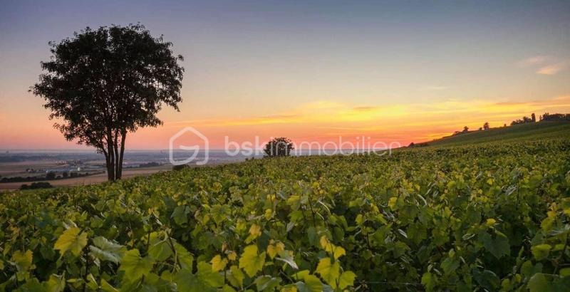 Terrain agricole - 16 310 m²