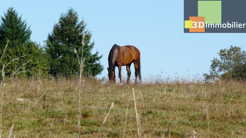 Maison - 500 m² - 11 pièces