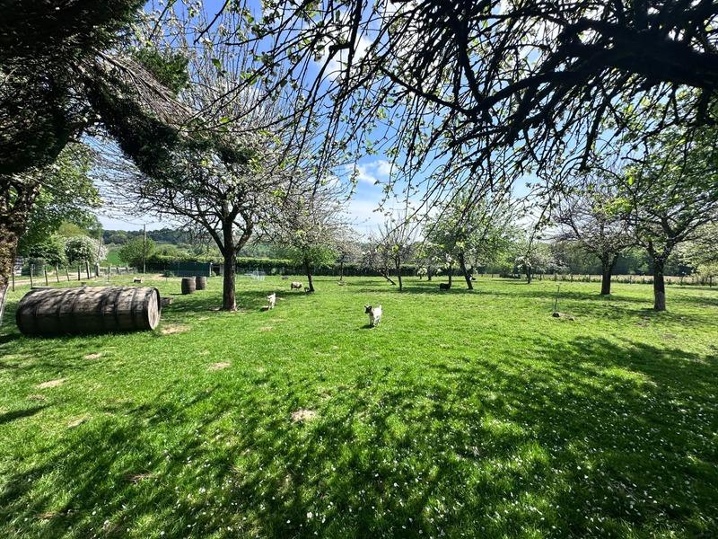 Maison en pierre - 244 m² - 7 pièces