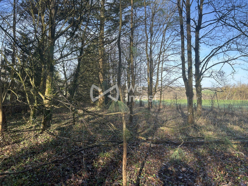 Terrain - 16 935 m²