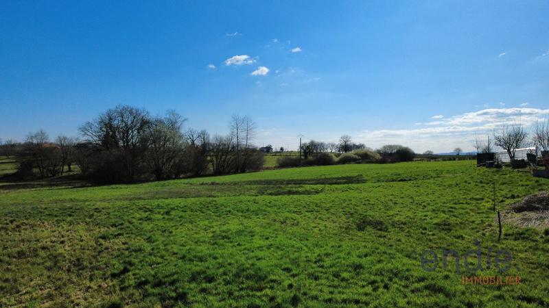 Terrain constructible - 10 000 m²