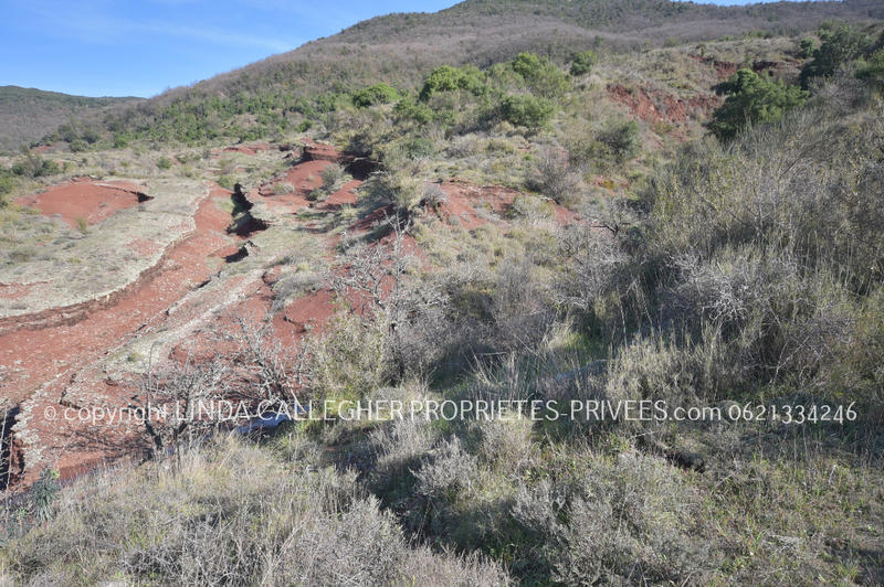 Terrain agricole - 44 350 m²