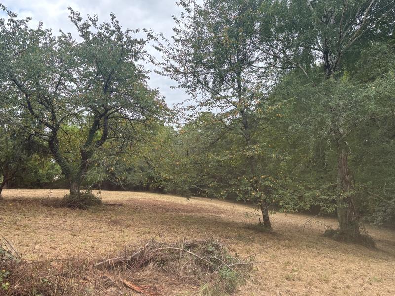 Terrain constructible - 2 247 m²