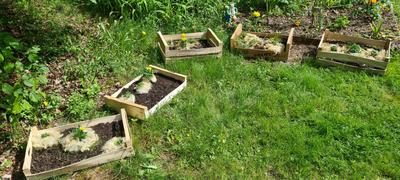 Préparer son plan de culture et choisir ses semences