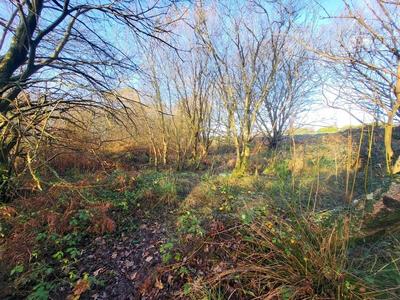 Terrain - 62 680 m²