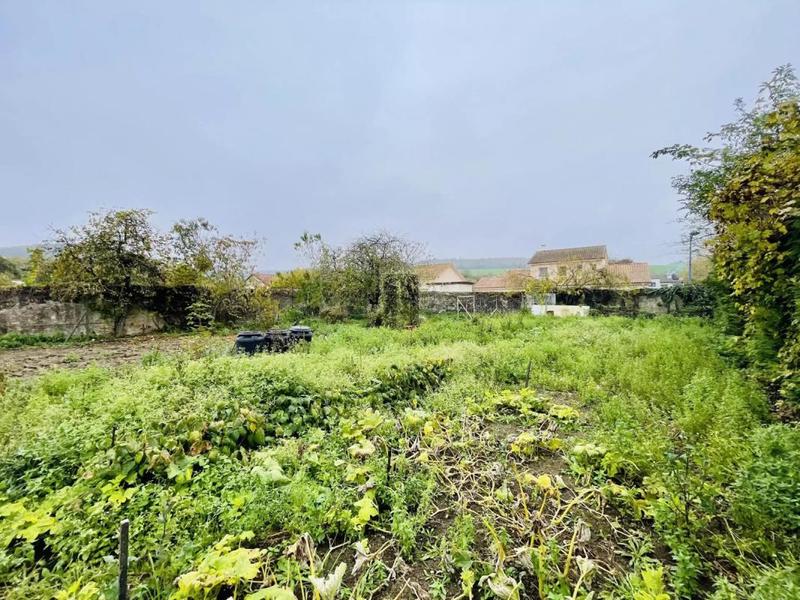 Appartement - 50 m² - 1 pièce