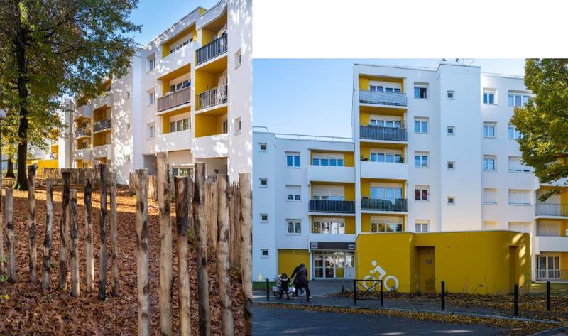 Appartement ancien - 33 m² - 1 pièce