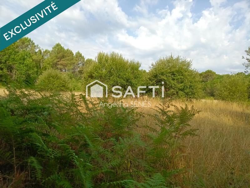 Terrain agricole - 60 000 m²