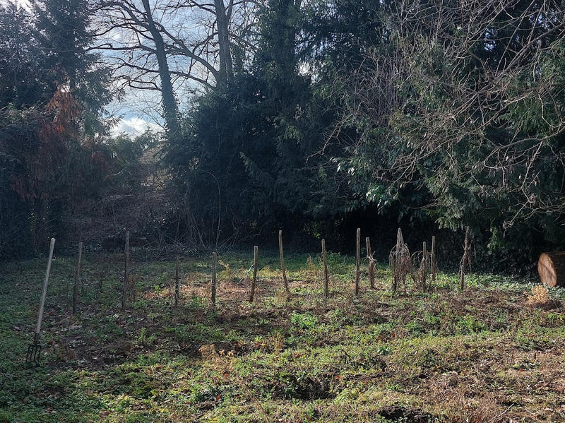 Propriété - 350 m² - 12 pièces