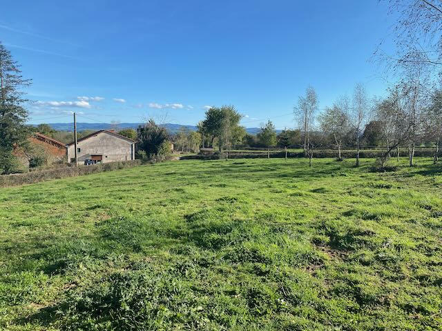 Terrain - 2 695 m²