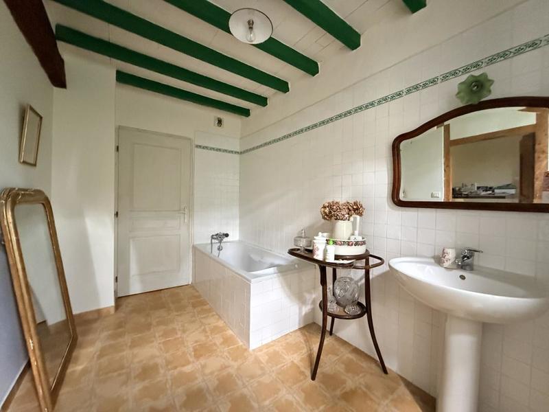 Moulin - 464 m² - 11 pièces