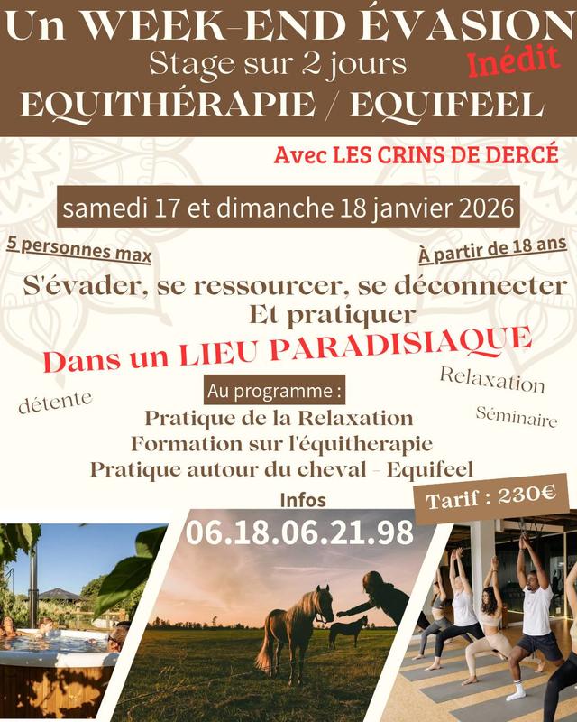 Equithérapie/Equifeel au centre équestre les Crins de Dercé