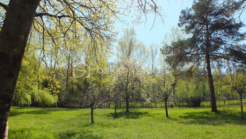 Maison traditionnelle - 219 m² - 10 pièces