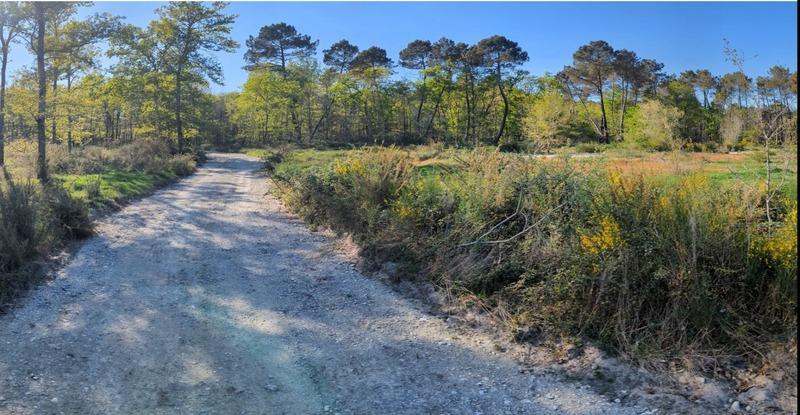 Terrain - 31 811 m²