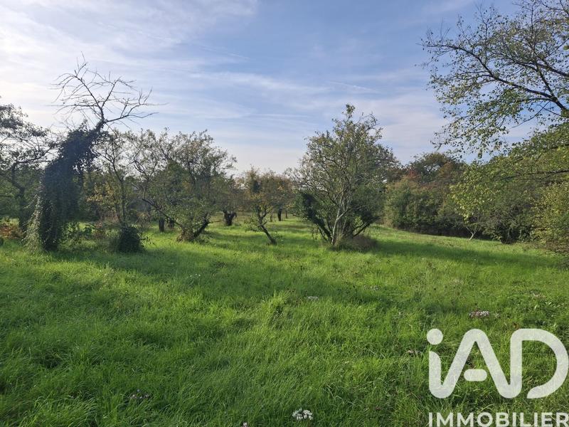 Maison de campagne - 175 m² - 7 pièces