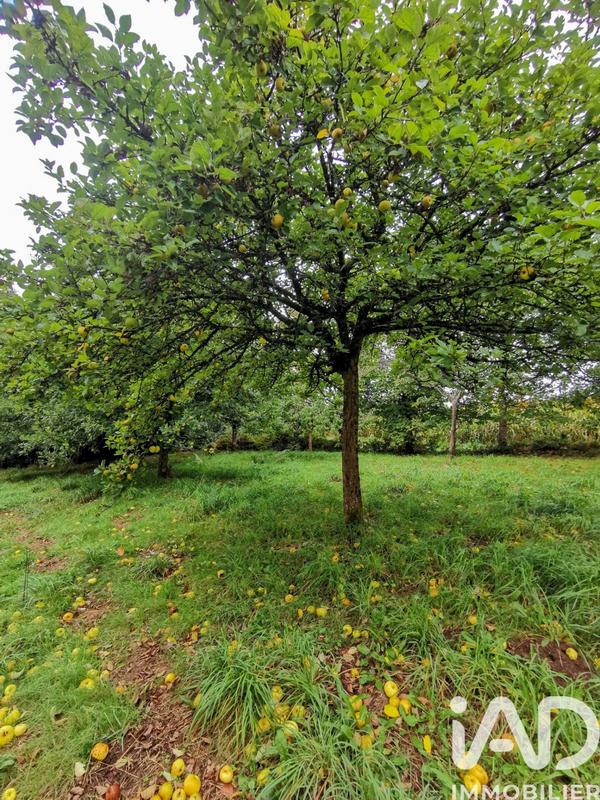 Terrain agricole - 15 000 m²