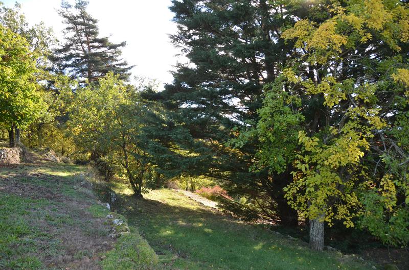 Maison en pierre - 104 m² - 5 pièces