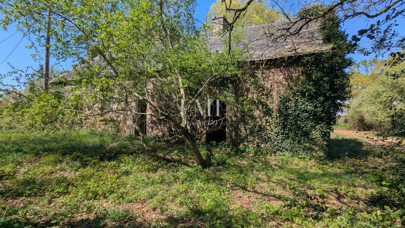 Maison ancienne - 230 m² - 5 pièces