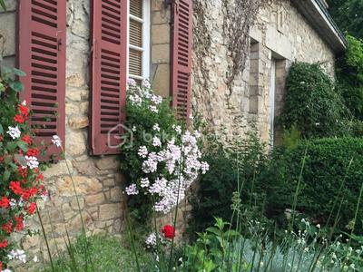 Maison en pierre - 150 m² - 6 pièces